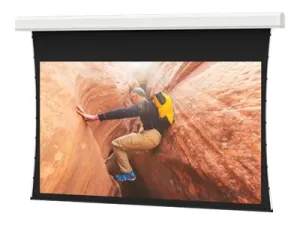 Da-Lite Tensioned Advantage Electrol HDTV Format - Projection screen - ceiling mountable - motorized - 120 V - 247 (246.8 in) 21822L