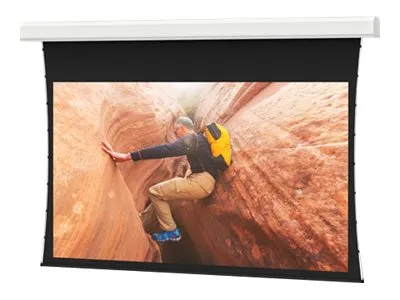 Da-Lite Tensioned Advantage Electrol HDTV Format - Projection screen - ceiling mountable - motorized - 120 V - 247 (246.8 in) 21822L