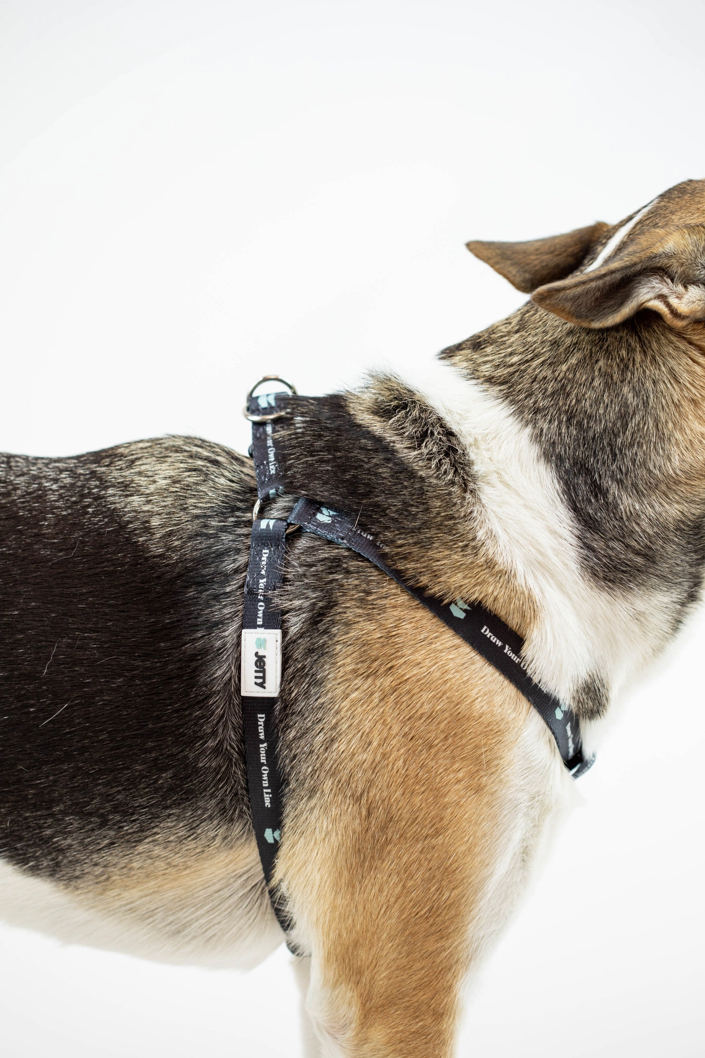 DYOL Dog Harness